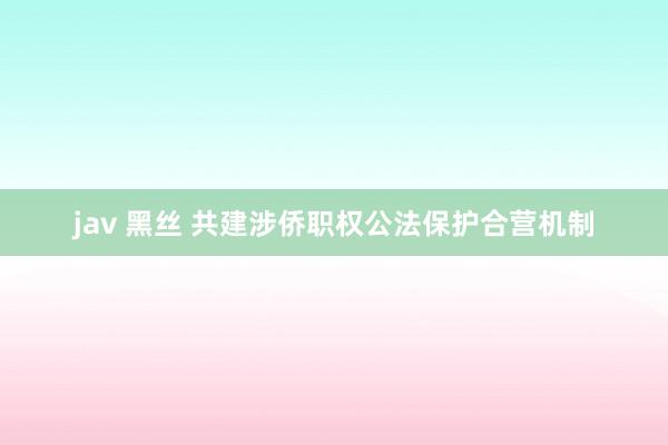 jav 黑丝 共建涉侨职权公法保护合营机制