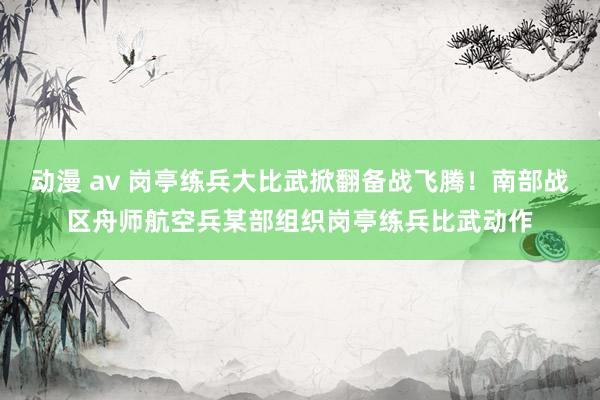 动漫 av 岗亭练兵大比武掀翻备战飞腾！南部战区舟师航空兵某部组织岗亭练兵比武动作