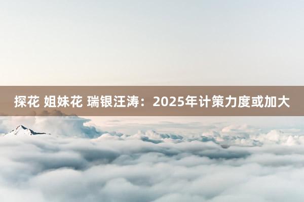 探花 姐妹花 瑞银汪涛：2025年计策力度或加大