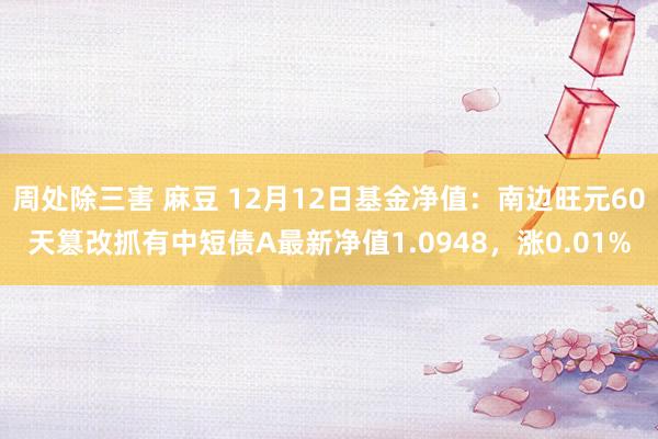 周处除三害 麻豆 12月12日基金净值：南边旺元60天篡改抓有中短债A最新净值1.0948，涨0.01%