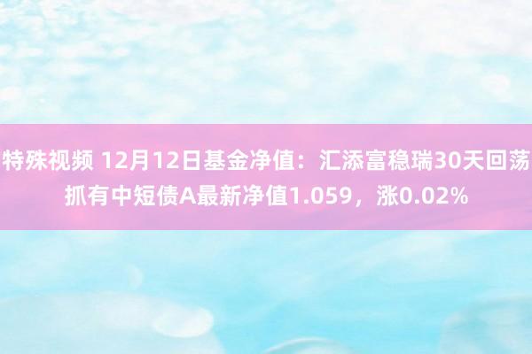 特殊视频 12月12日基金净值：汇添富稳瑞30天回荡抓有中短债A最新净值1.059，涨0.02%