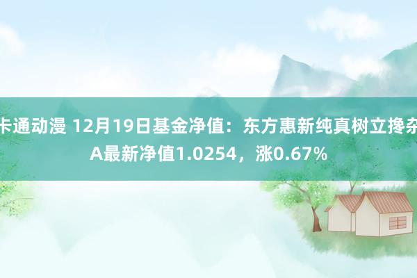 卡通动漫 12月19日基金净值：东方惠新纯真树立搀杂A最新净值1.0254，涨0.67%