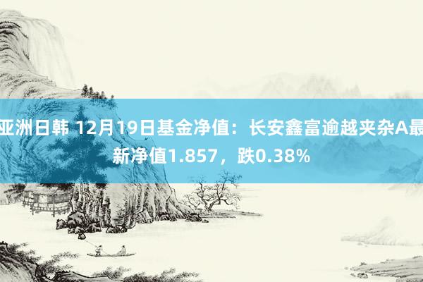 亚洲日韩 12月19日基金净值：长安鑫富逾越夹杂A最新净值1.857，跌0.38%