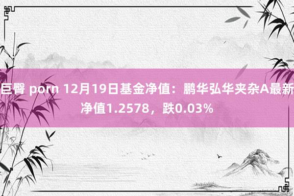巨臀 porn 12月19日基金净值：鹏华弘华夹杂A最新净值1.2578，跌0.03%