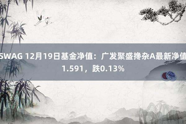 SWAG 12月19日基金净值：广发聚盛搀杂A最新净值1.591，跌0.13%