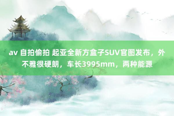 av 自拍偷拍 起亚全新方盒子SUV官图发布，外不雅很硬朗，车长3995mm，两种能源