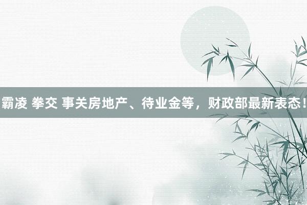霸凌 拳交 事关房地产、待业金等，财政部最新表态！