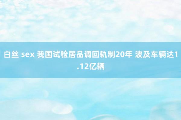 白丝 sex 我国试验居品调回轨制20年 波及车辆达1.12亿辆