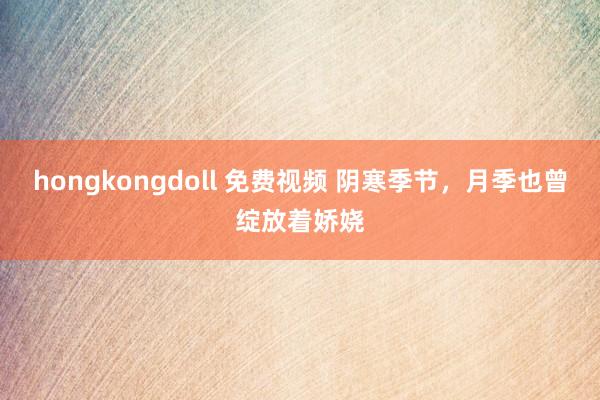 hongkongdoll 免费视频 阴寒季节，月季也曾绽放着娇娆