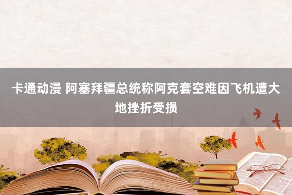 卡通动漫 阿塞拜疆总统称阿克套空难因飞机遭大地挫折受损