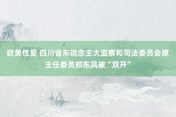 欧美性爱 四川省东说念主大监察和司法委员会原主任委员郑东风被“双开”