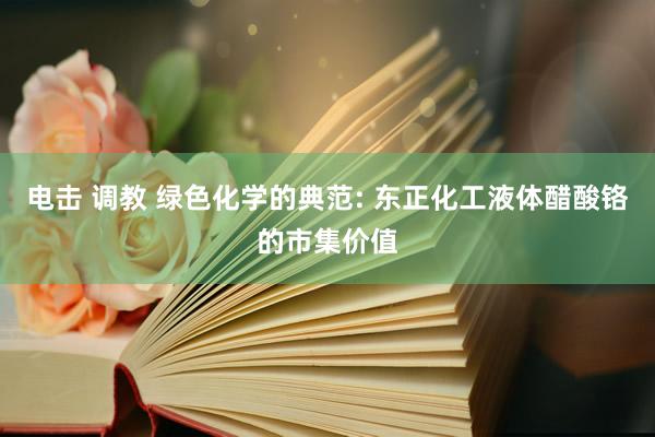 电击 调教 绿色化学的典范: 东正化工液体醋酸铬的市集价值