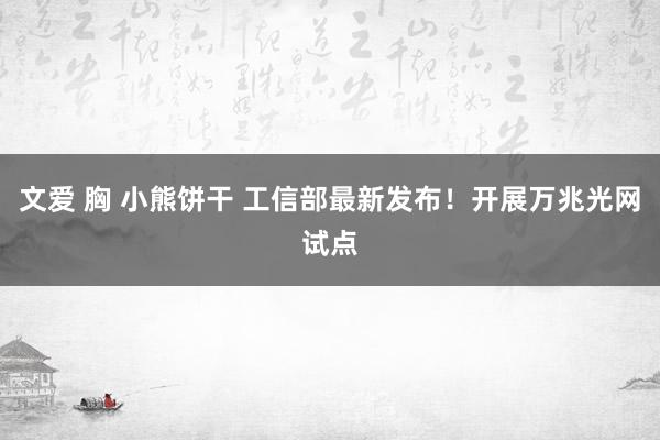 文爱 胸 小熊饼干 工信部最新发布！开展万兆光网试点