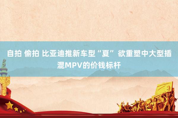 自拍 偷拍 比亚迪推新车型“夏” 欲重塑中大型插混MPV的价钱标杆