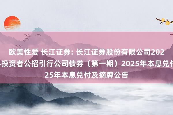 欧美性爱 长江证券: 长江证券股份有限公司2022年面向专科投资者公招引行公司债券(第一期)2025年本息兑付及摘牌公告