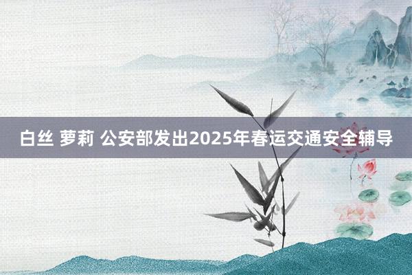 白丝 萝莉 公安部发出2025年春运交通安全辅导