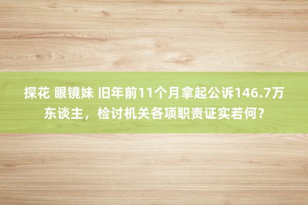 探花 眼镜妹 旧年前11个月拿起公诉146.7万东谈主，检讨机关各项职责证实若何？