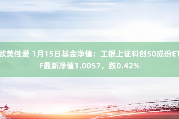 欧美性爱 1月15日基金净值：工银上证科创50成份ETF最新净值1.0057，跌0.42%