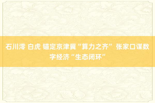石川澪 白虎 锚定京津冀“算力之齐” 张家口谋数字经济“生态闭环”