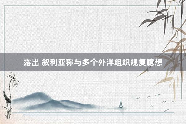 露出 叙利亚称与多个外洋组织规复臆想