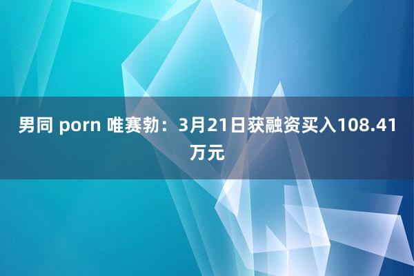 男同 porn 唯赛勃：3月21日获融资买入108.41万元