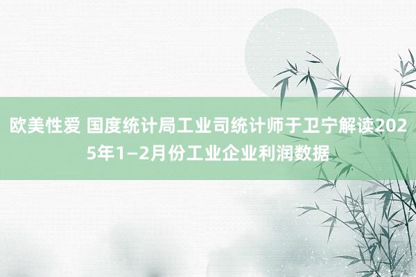 欧美性爱 国度统计局工业司统计师于卫宁解读2025年1—2月份工业企业利润数据