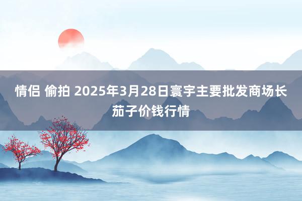 情侣 偷拍 2025年3月28日寰宇主要批发商场长茄子价钱行情