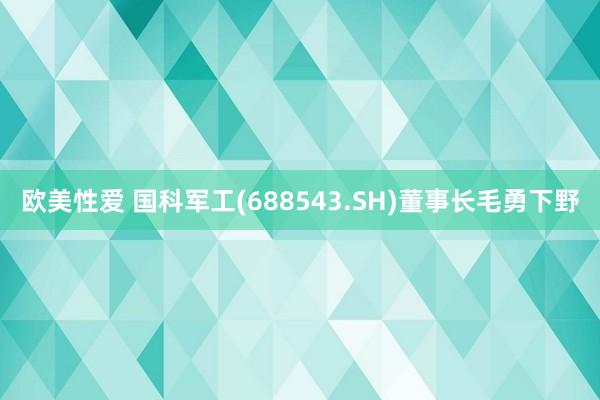欧美性爱 国科军工(688543.SH)董事长毛勇下野