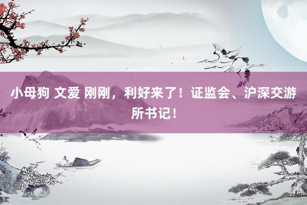小母狗 文爱 刚刚，利好来了！证监会、沪深交游所书记！