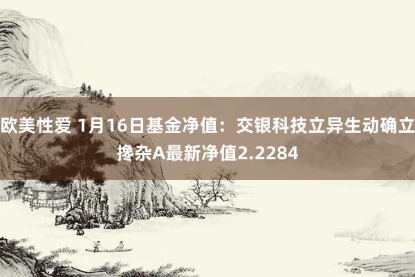 欧美性爱 1月16日基金净值：交银科技立异生动确立搀杂A最新净值2.2284